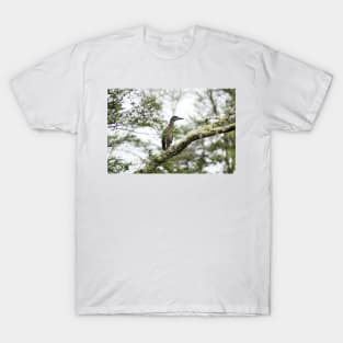 elb night heron T-Shirt